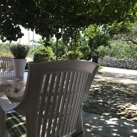 Apartman Mirjana With Terrace And Free Parking Donji Okrug  المظهر الخارجي الصورة